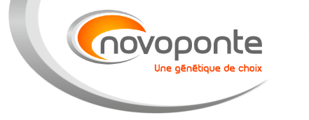 Novoponte une génétique de choix